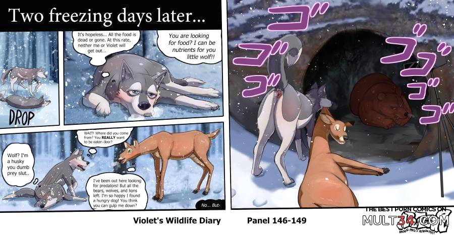 Violets Wildlife Diary page 56