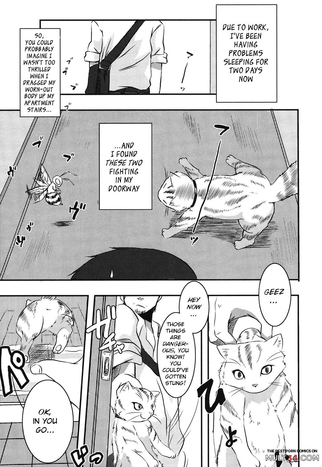 Hachihime-sama Chikuri page 1