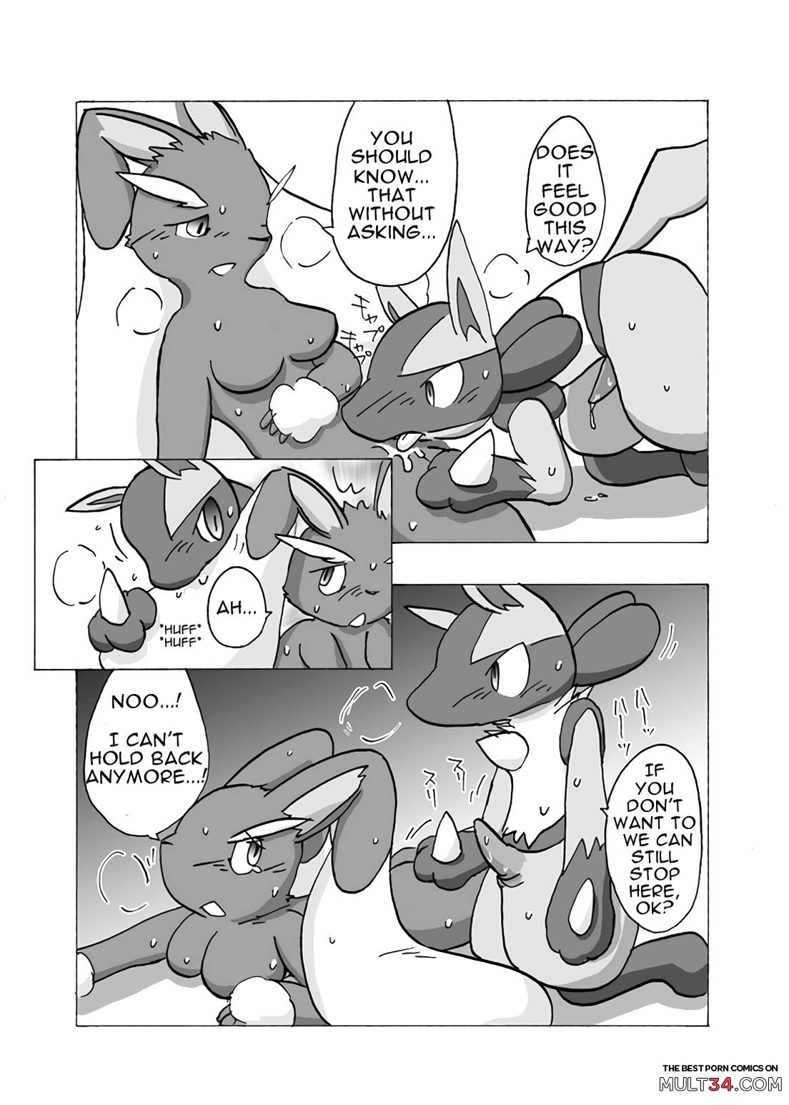 Lucario X Lopunny page 11