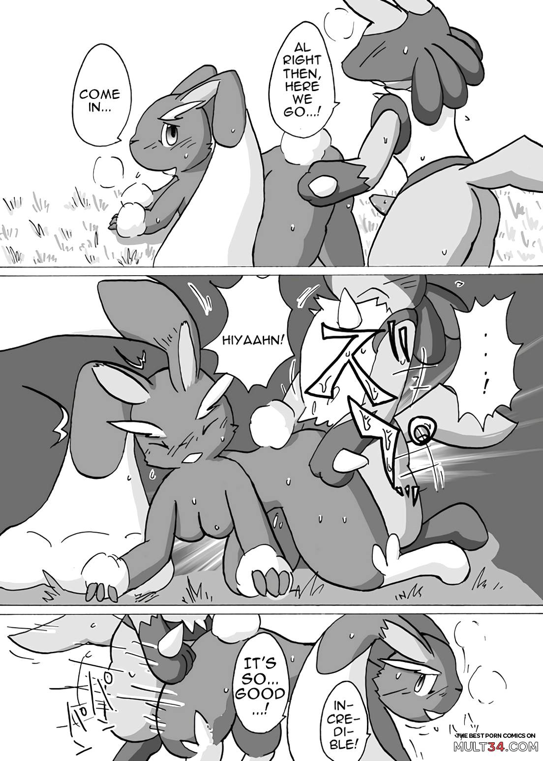 Lucario X Lopunny page 12