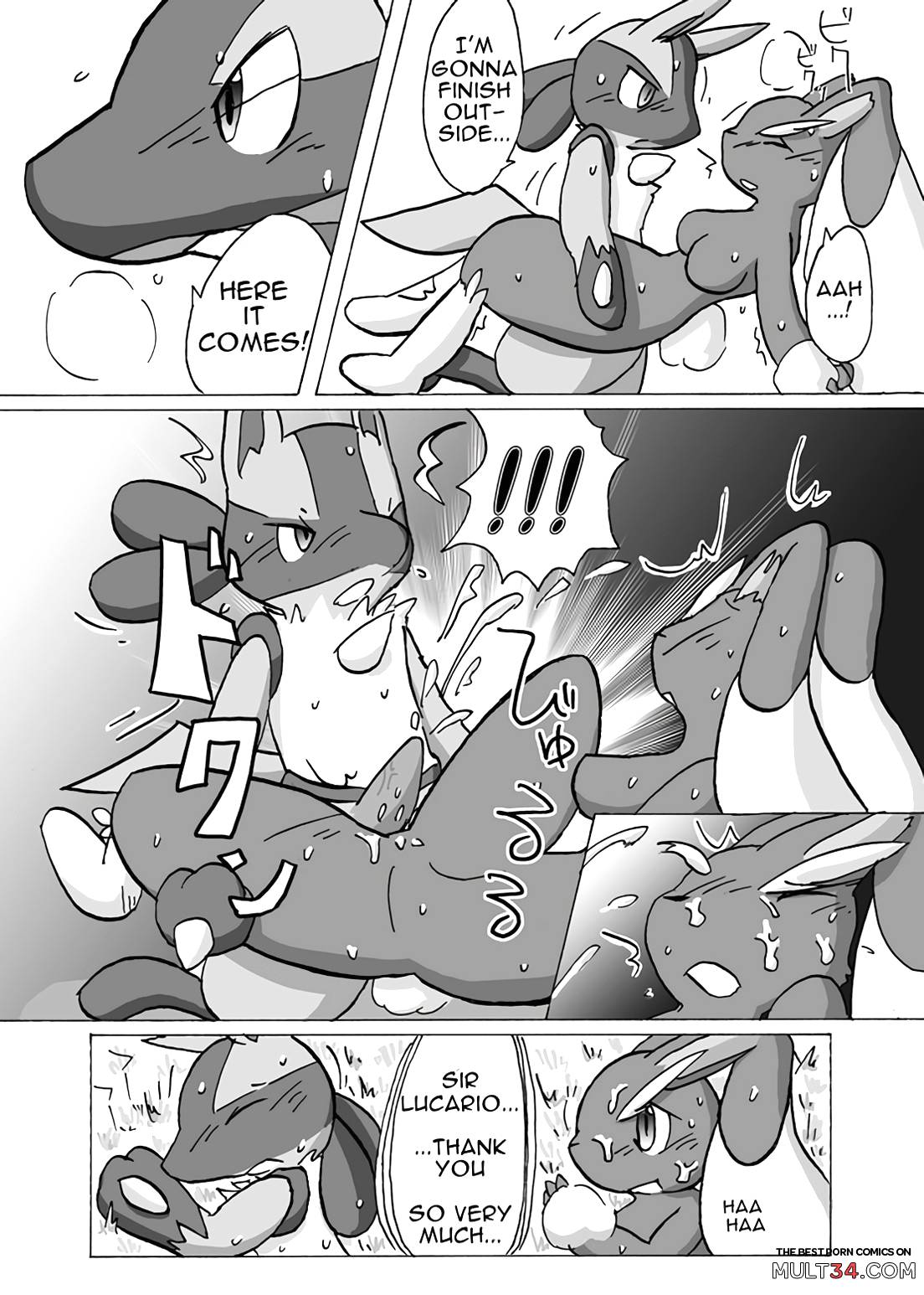 Lucario X Lopunny page 13