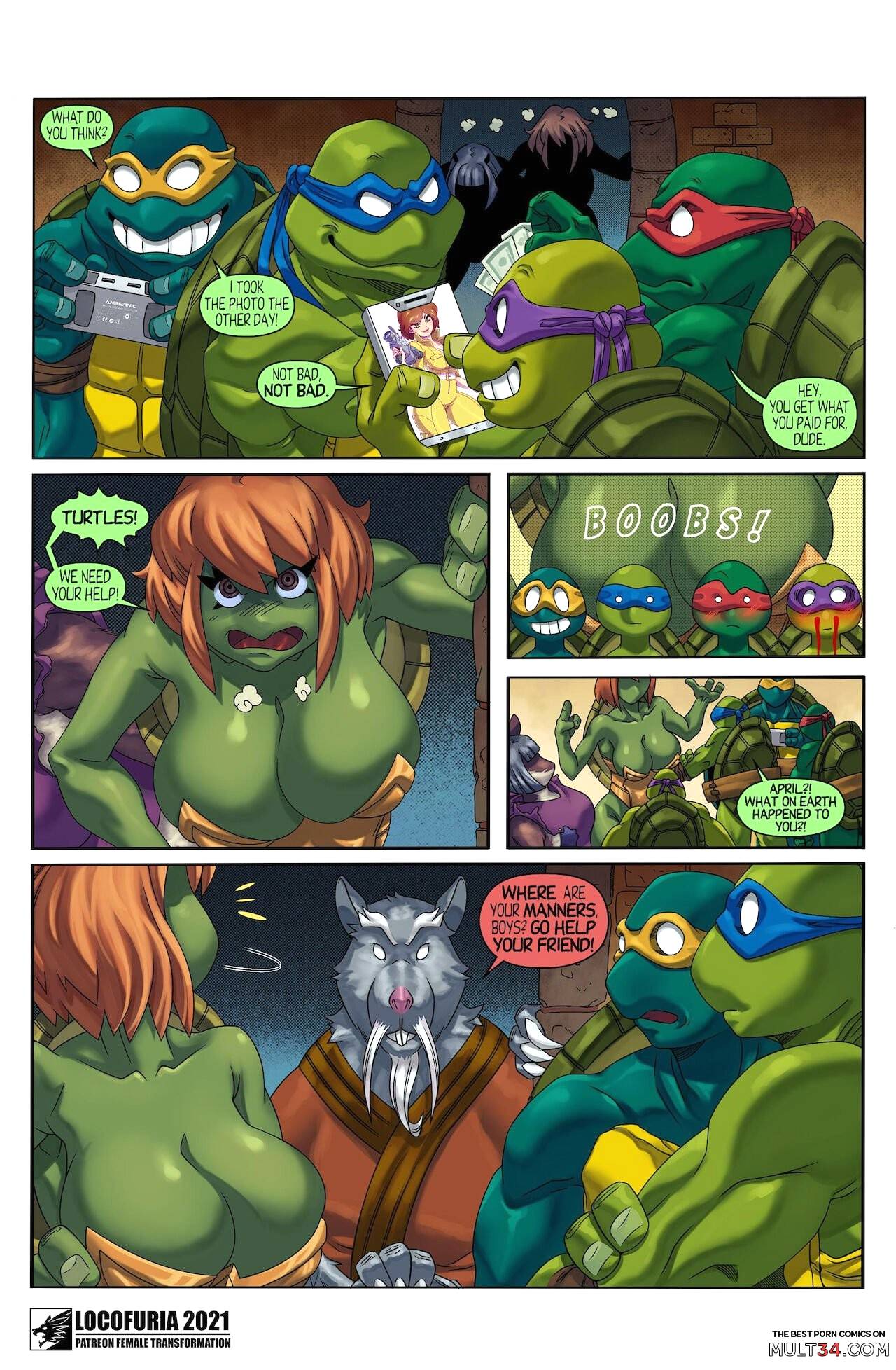 The Fifth Turtle page 24