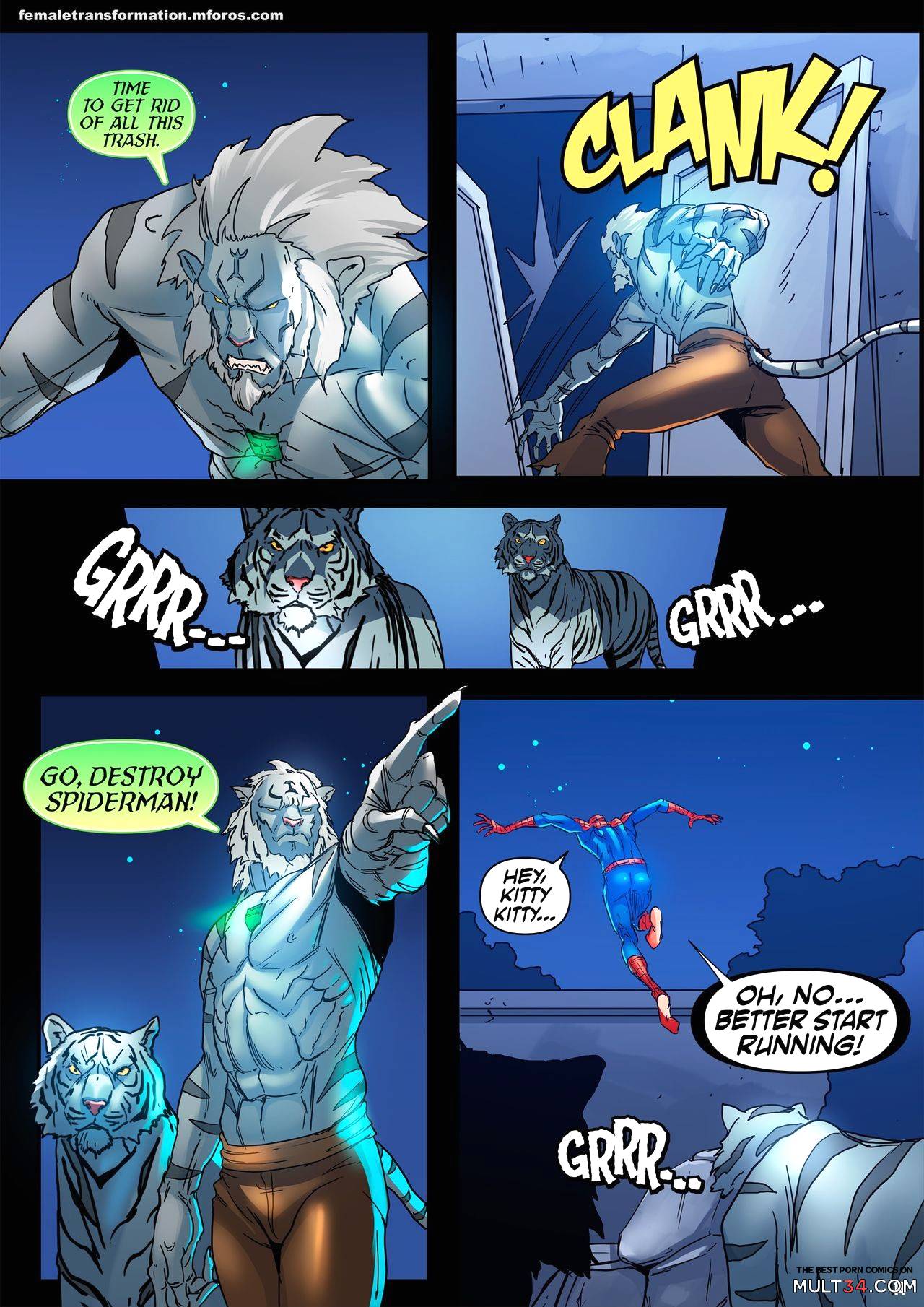 The White Tiger Amulet 2 page 15