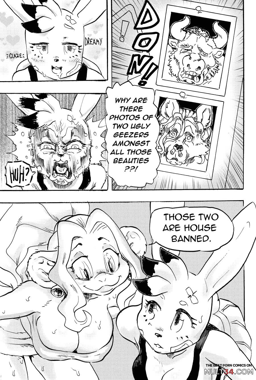 Furry Fight Chronicles 9 page 5