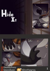 Hide It page 1