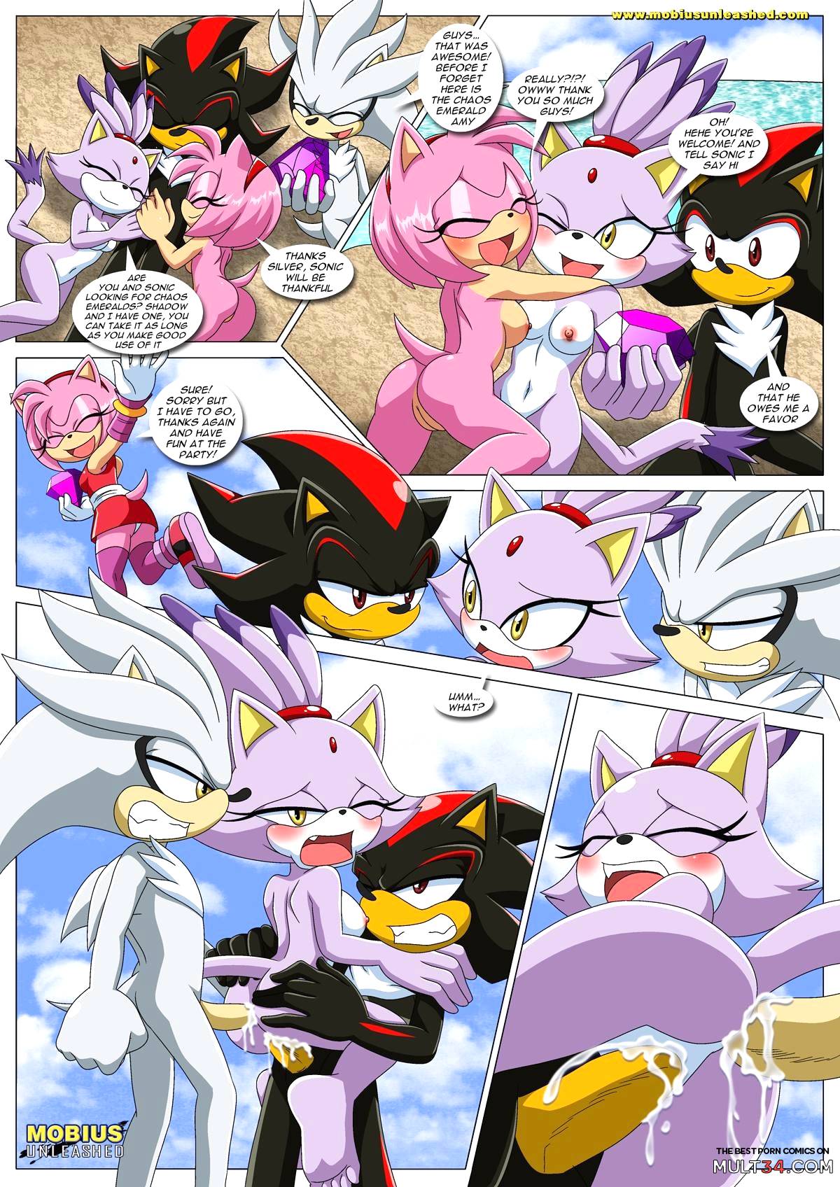 Sonic XXX Project 4 page 10