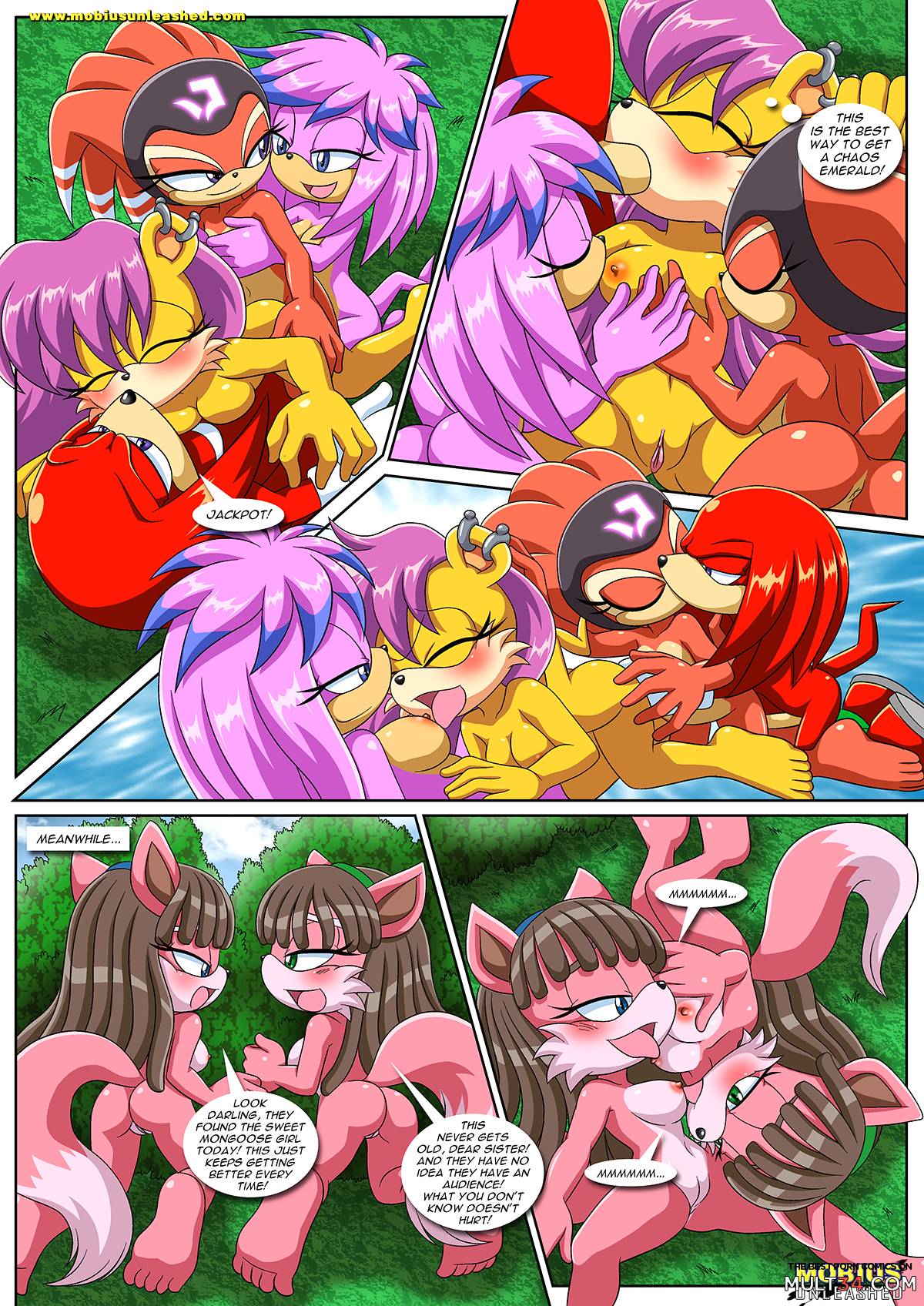 Sonic XXX Project 4 page 14