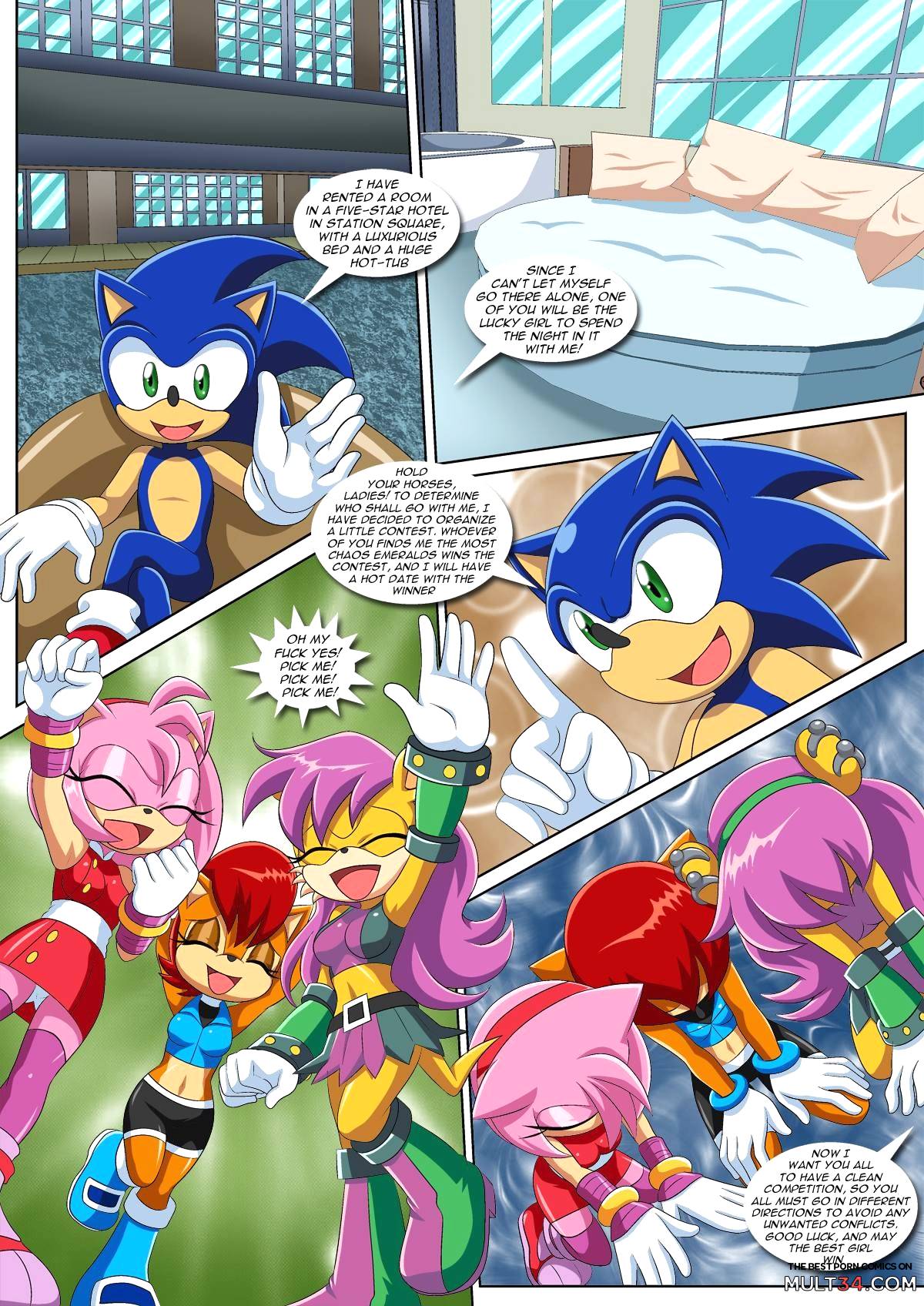 Sonic XXX Project 4 page 3