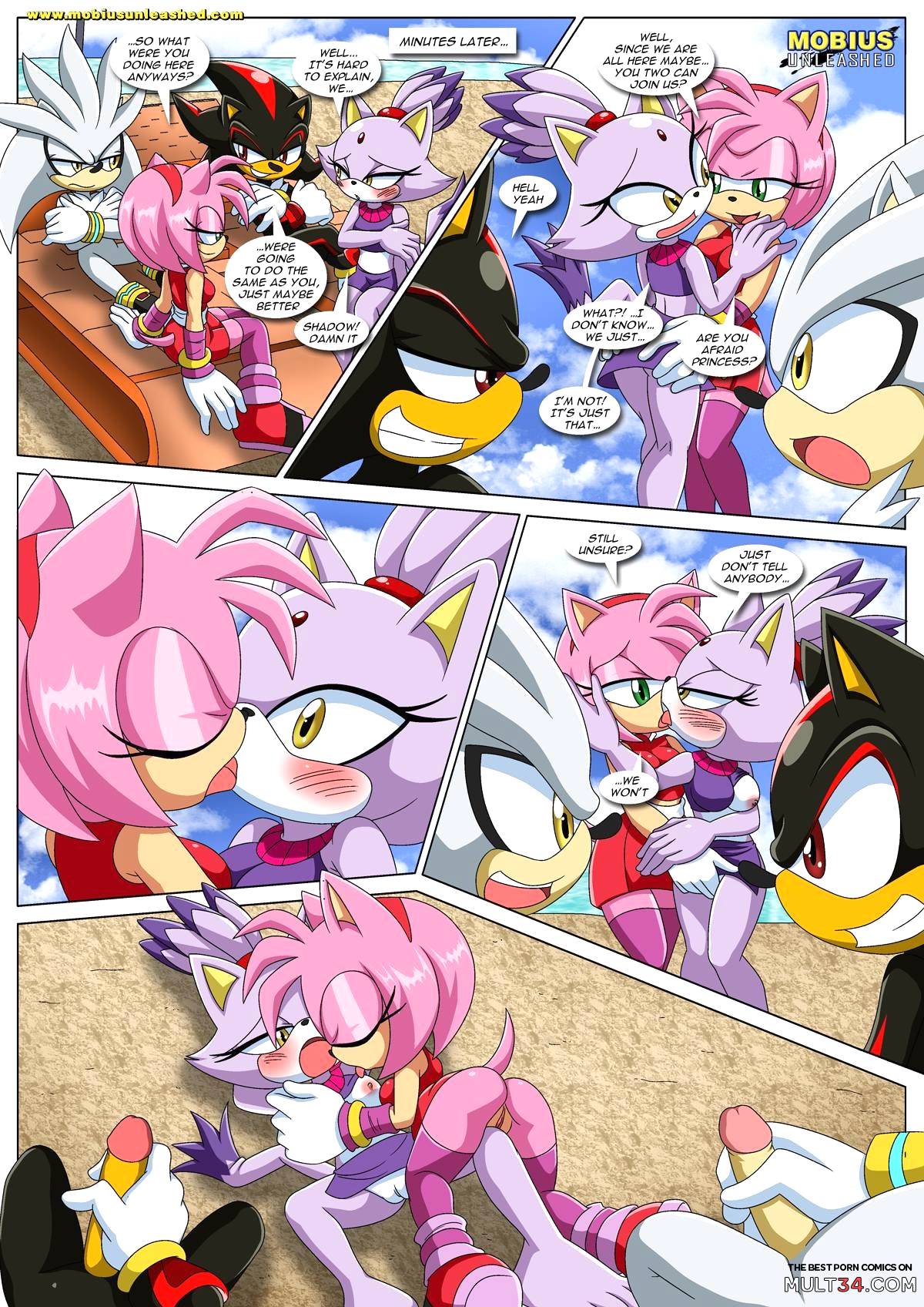 Sonic XXX Project 4 page 6