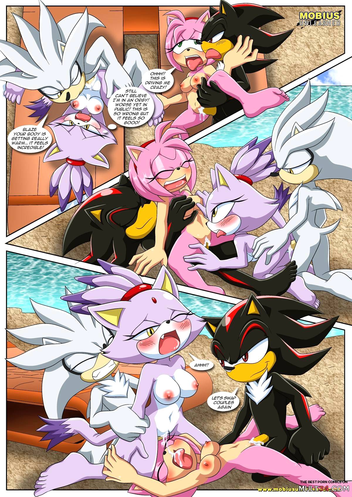 Sonic XXX Project 4 page 8