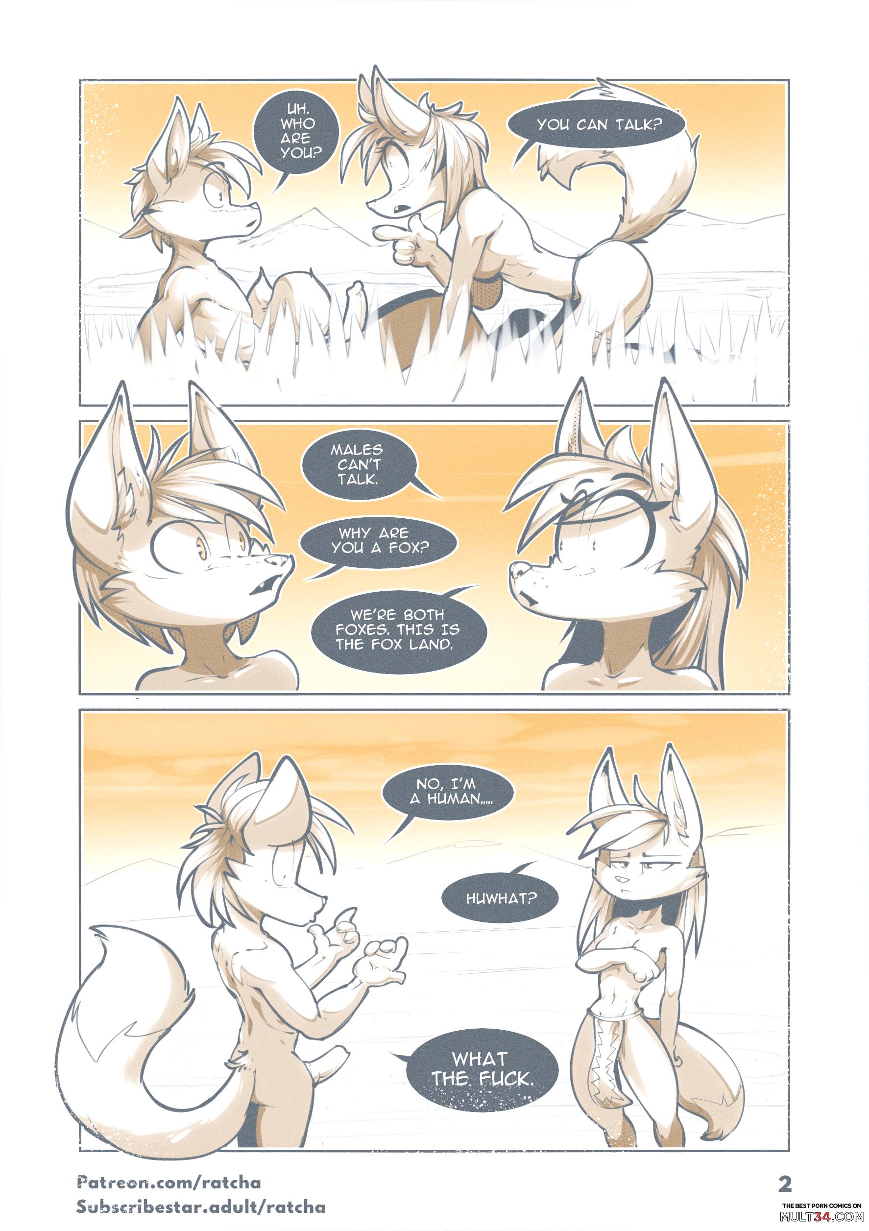 Reincarnated In Another World As A Furry Fox page 2