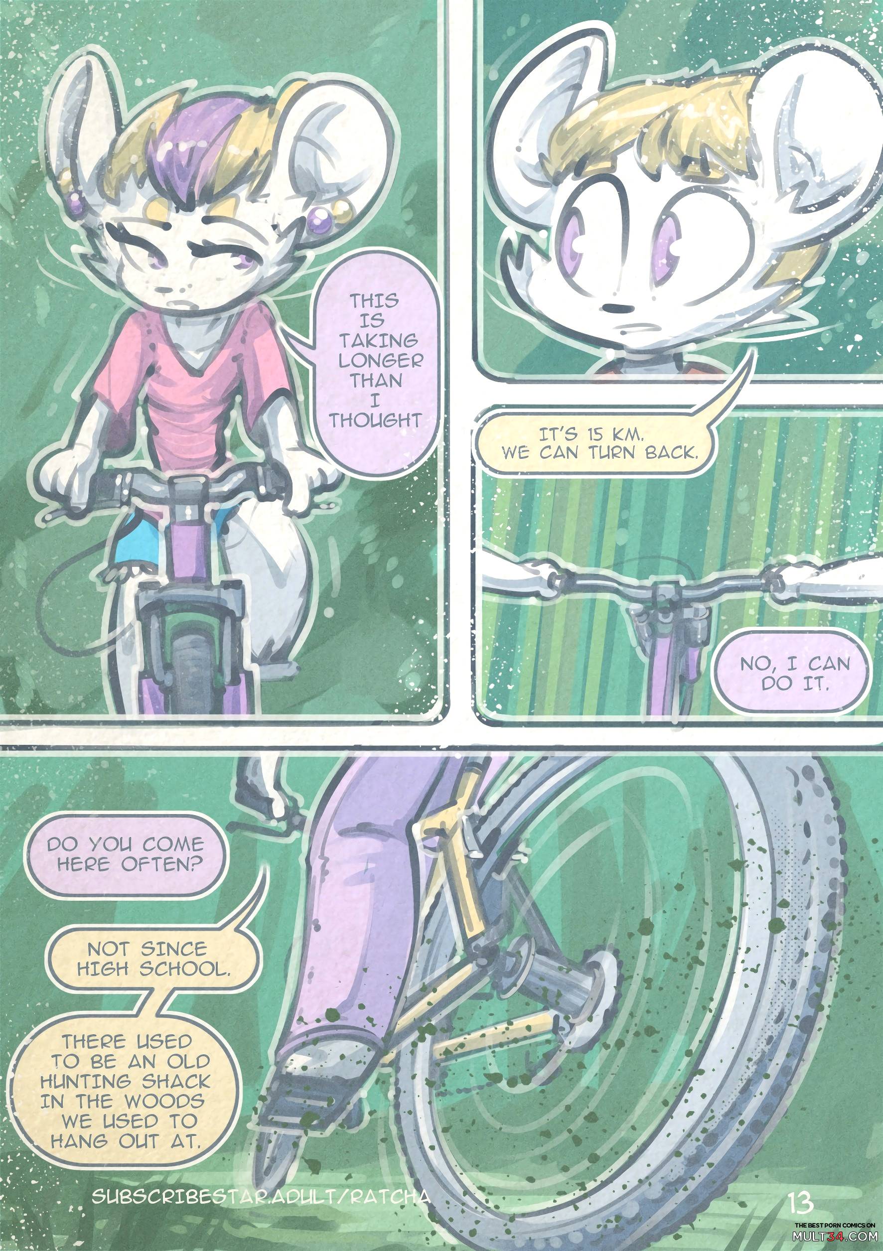 The Dam page 13