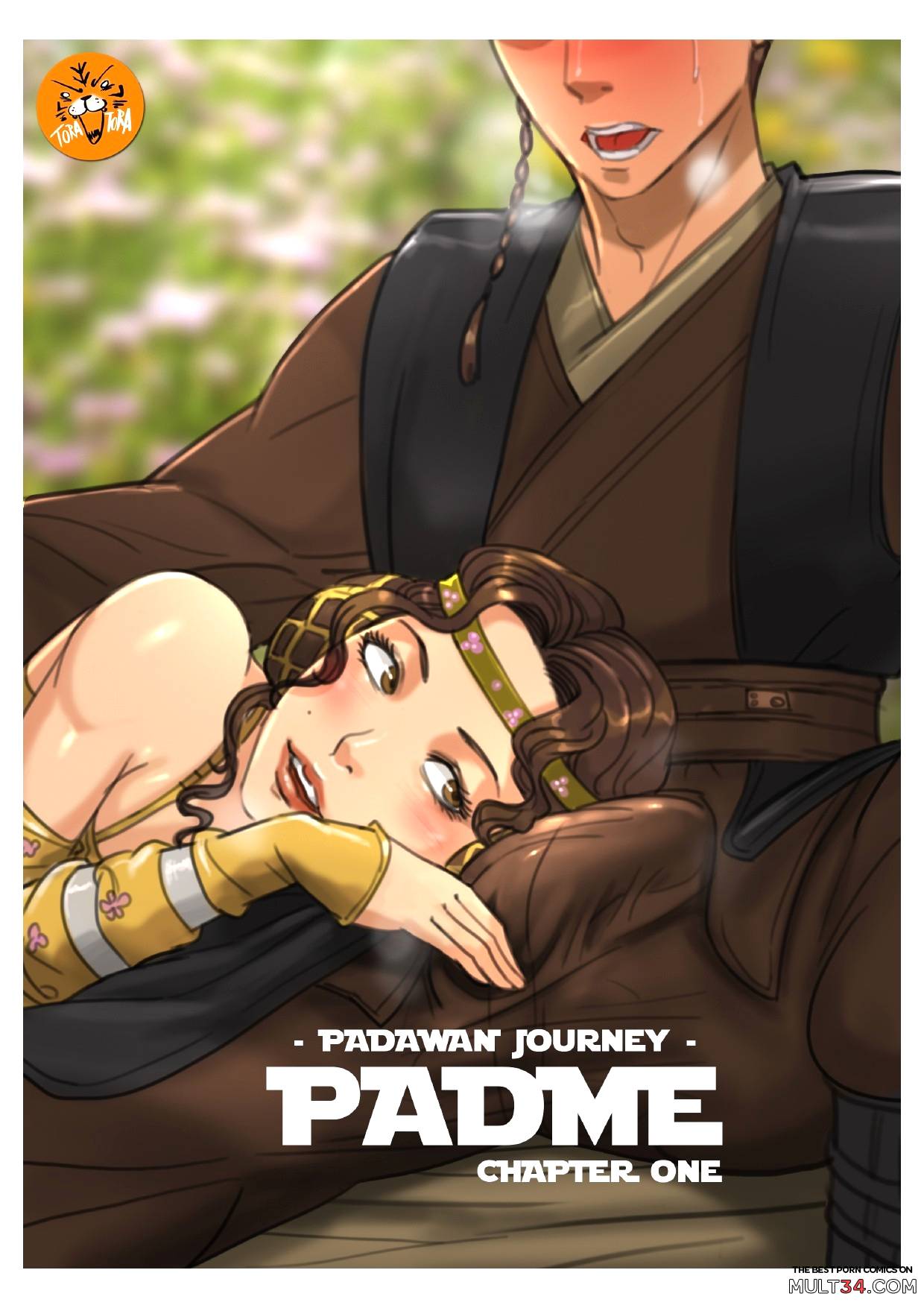 Padawan Journey - Padme page 1