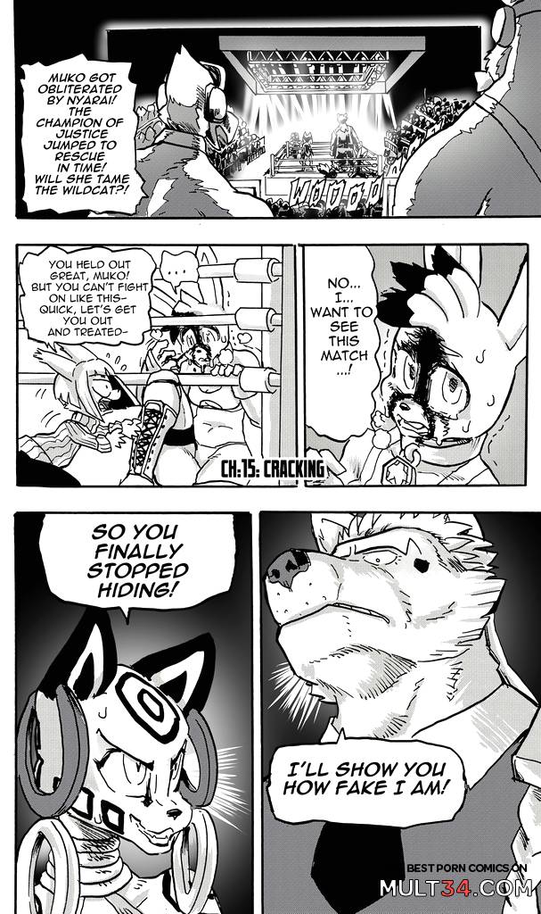 Furry Fight Chronicles 10 - 20 - Porn Comics page 114