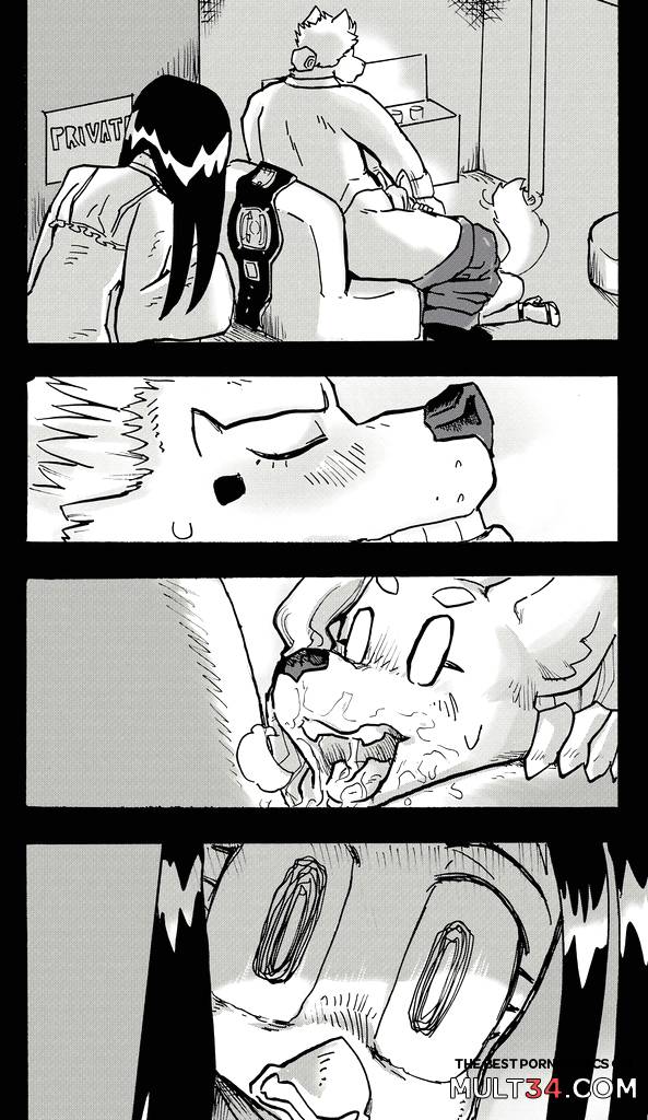 Furry Fight Chronicles 10 - 20 - Porn Comics page 147