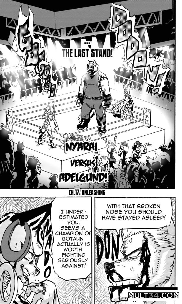 Furry Fight Chronicles 10 - 20 - Porn Comics page 164