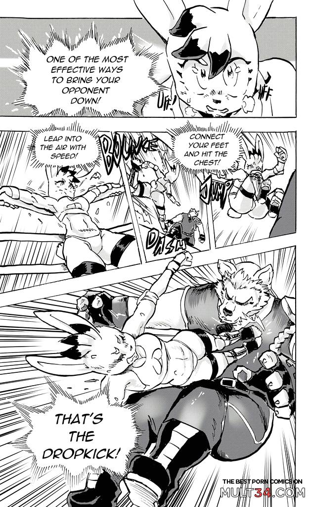 Furry Fight Chronicles 10 - 20 - Porn Comics page 63