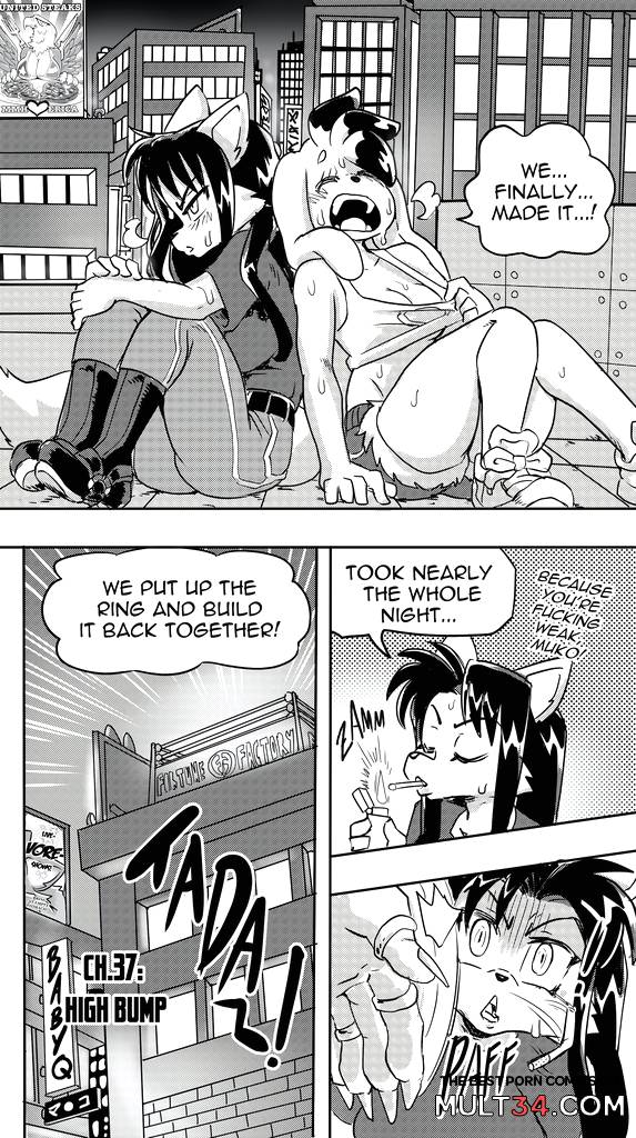 Furry Fight Chronicles 31 - 40 - Porn Comics page 118