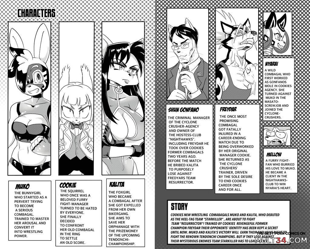 Furry Fight Chronicles 31 - 40 - Porn Comics page 185