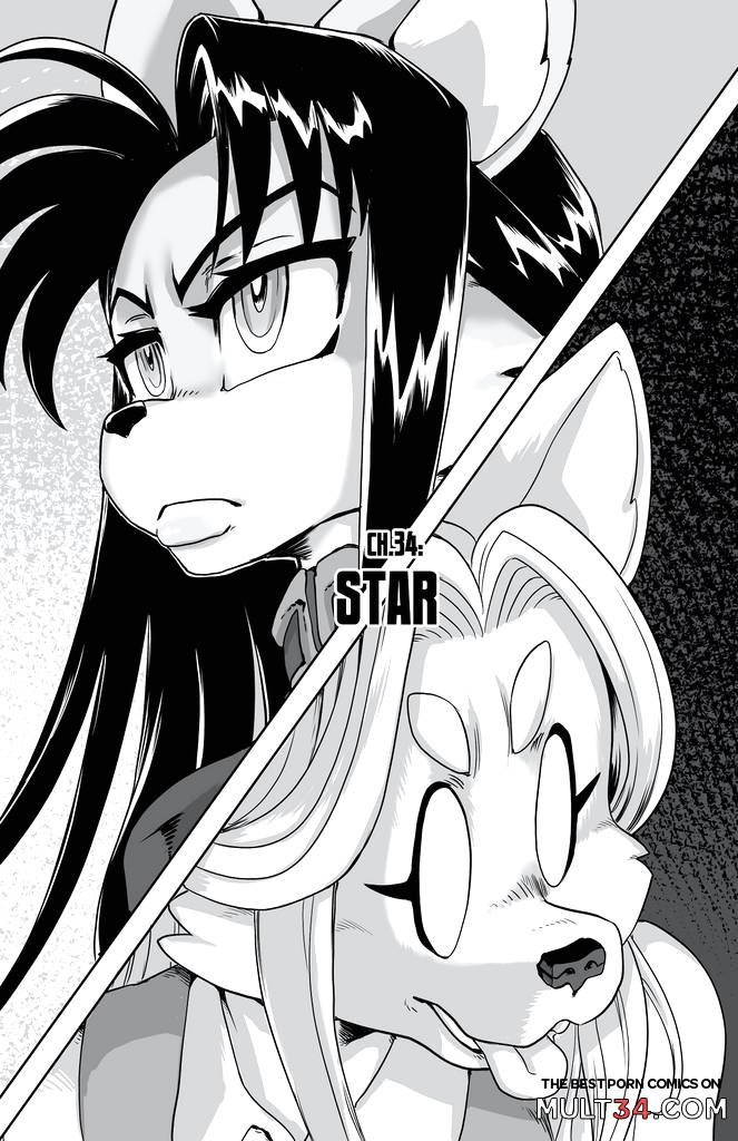 Furry Fight Chronicles 31 - 40 - Porn Comics page 65