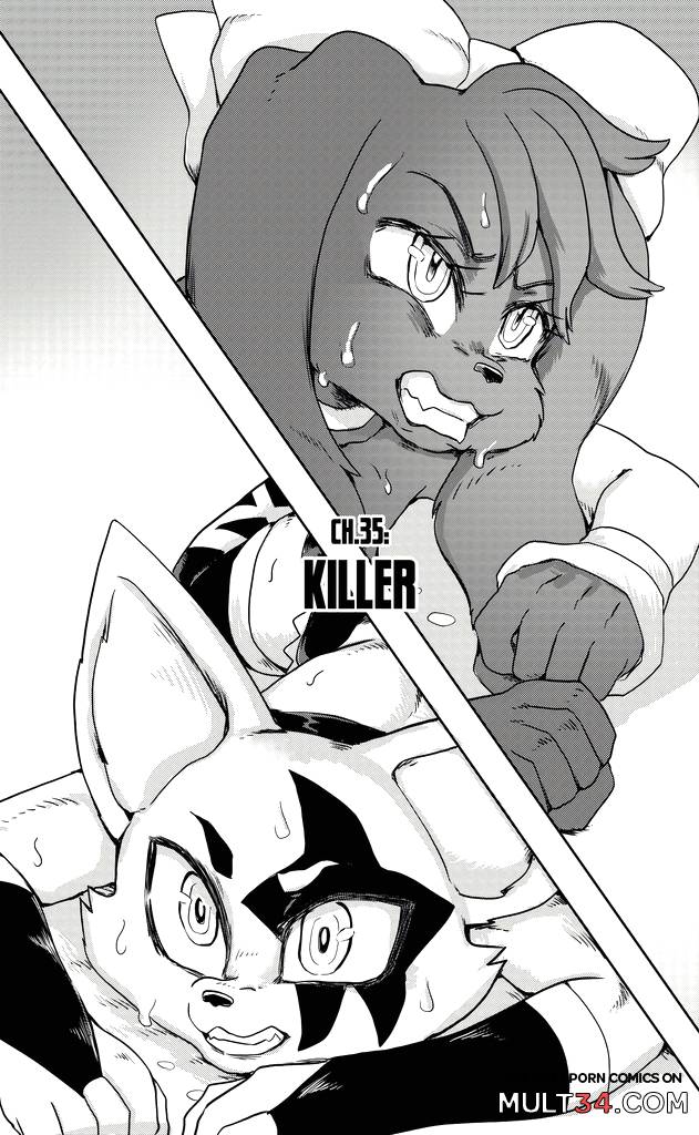 Furry Fight Chronicles 31 - 40 - Porn Comics page 81