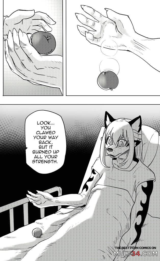 Furry Fight Chronicles 41 - 50 - Porn Comics page 150