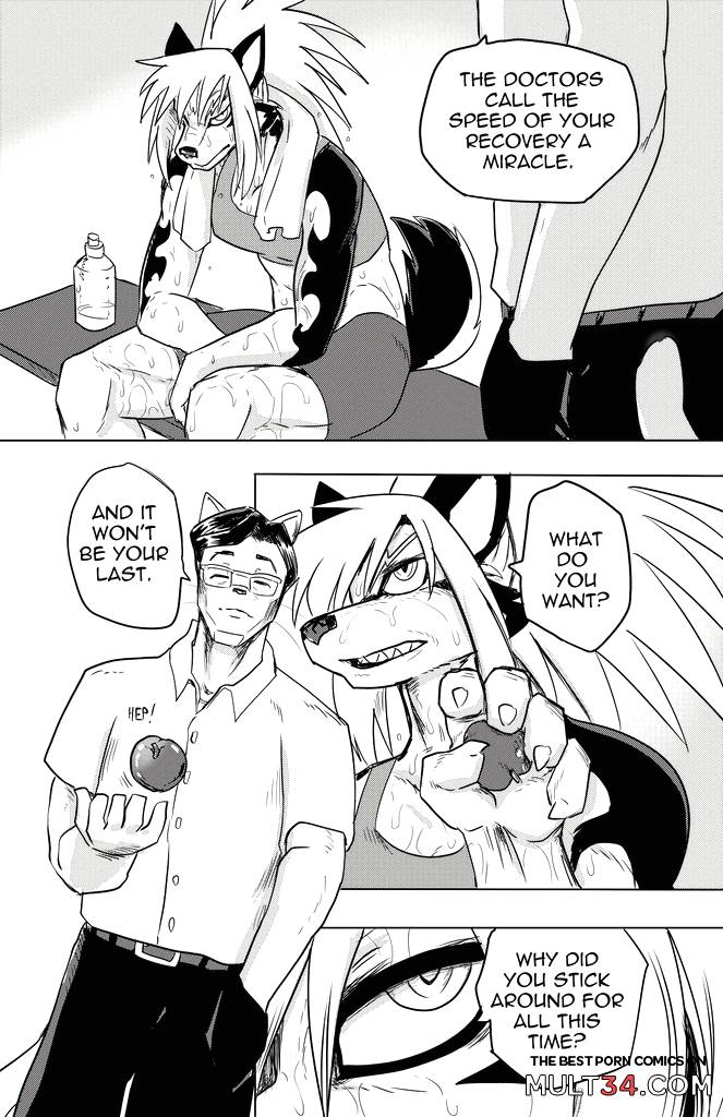 Furry Fight Chronicles 41 - 50 - Porn Comics page 161