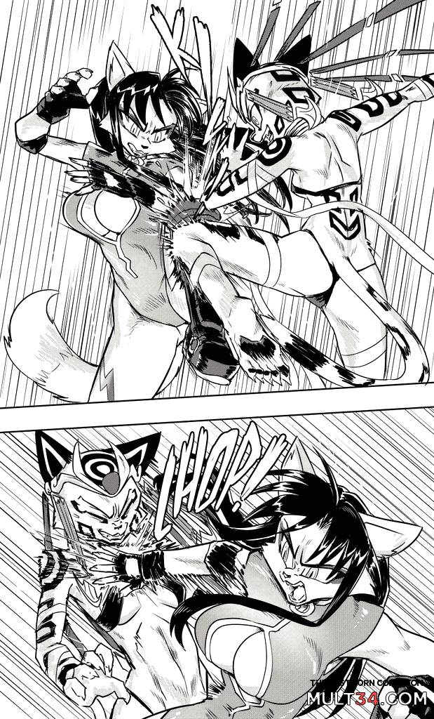 Furry Fight Chronicles 41 - 50 - Porn Comics page 41