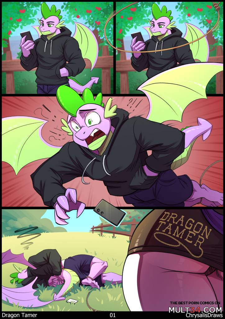 Dragon Tamer - Porn Comics page 1