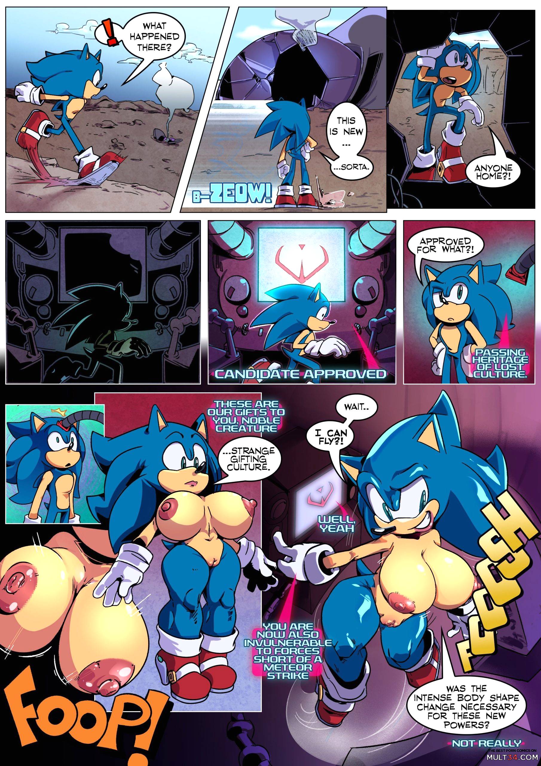 Legacy - Sonic Rule 63 page 1