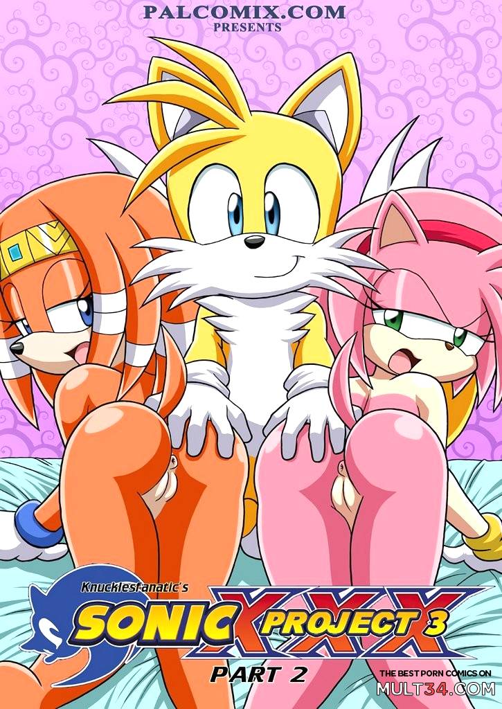 Sonic XXX Project 3 Part 2 - Porn Comics page 1