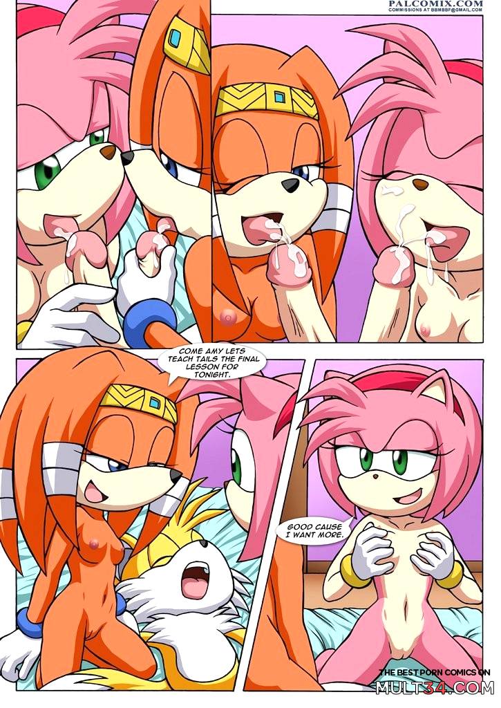 Sonic XXX Project 3 Part 2 - Porn Comics page 12