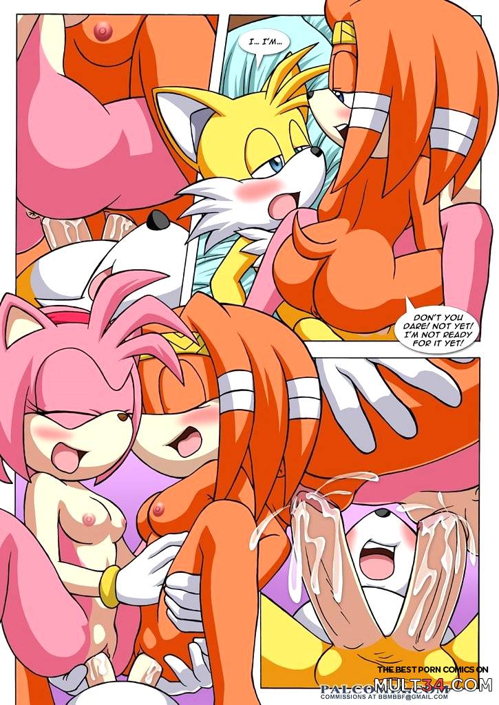 Sonic XXX Project 3 Part 2 - Porn Comics page 15