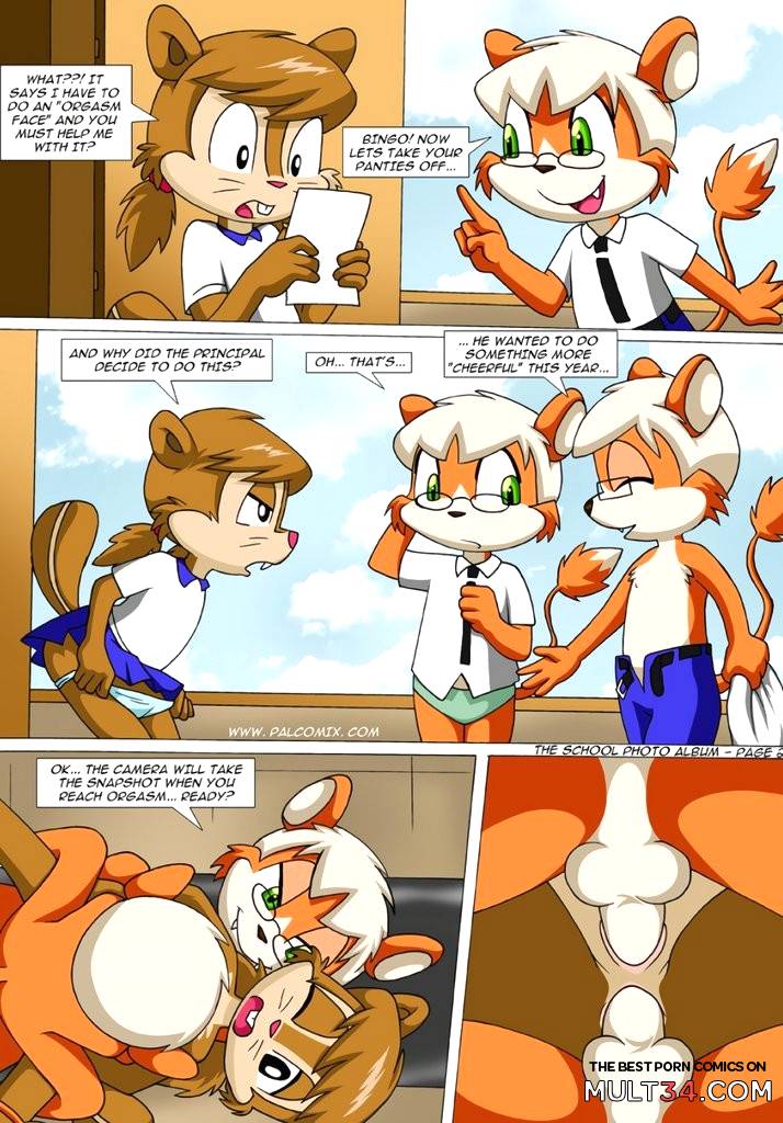 The School Photo Album - Porn Comics page 3