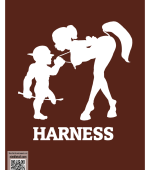 Harness - Porn Comics page 1