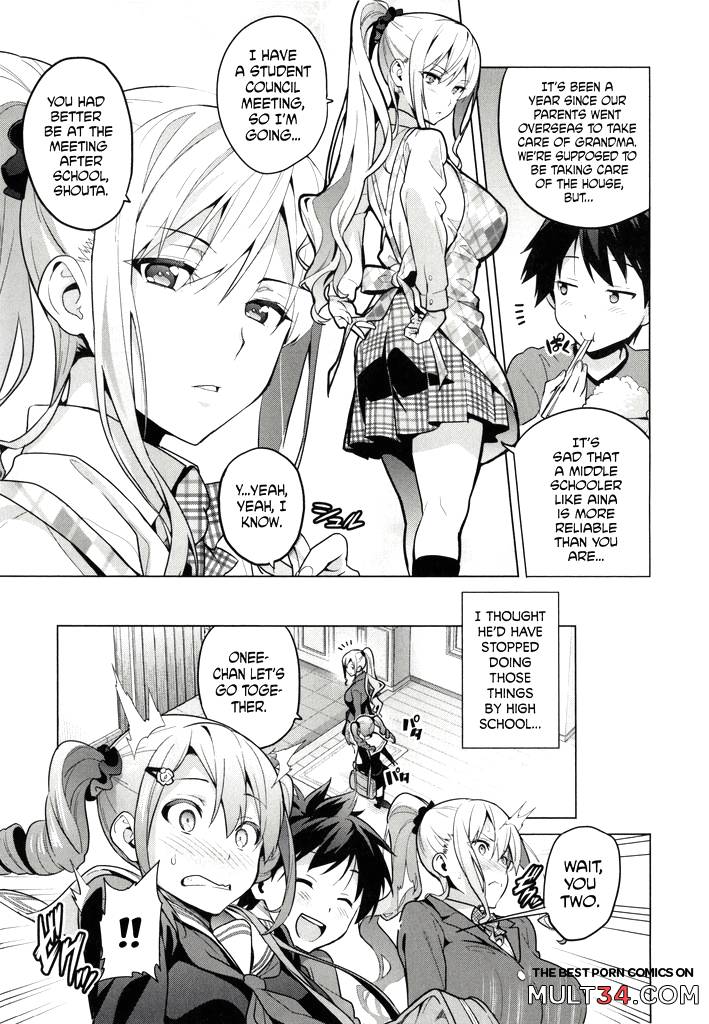 Sister Breeder 1-3 page 4