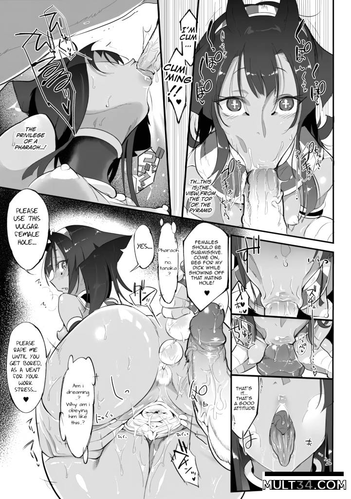 The Japan-Egypt Theory page 13