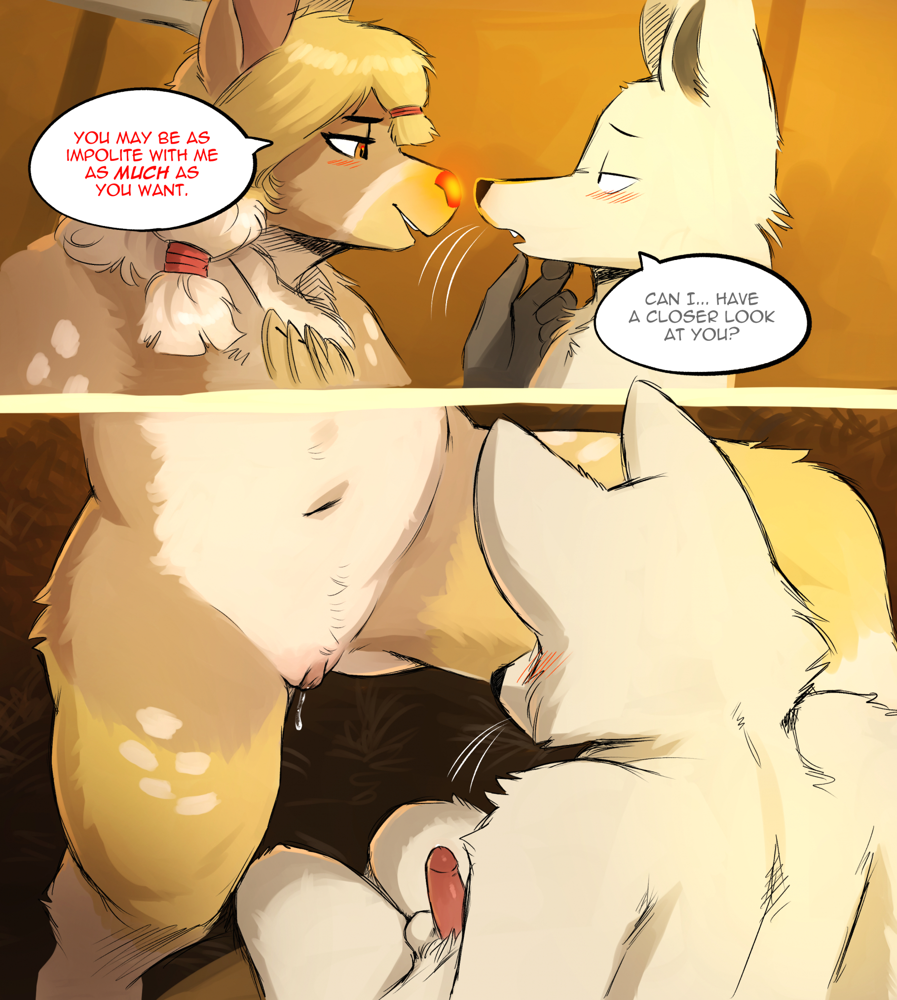 Looking respectfully page 3