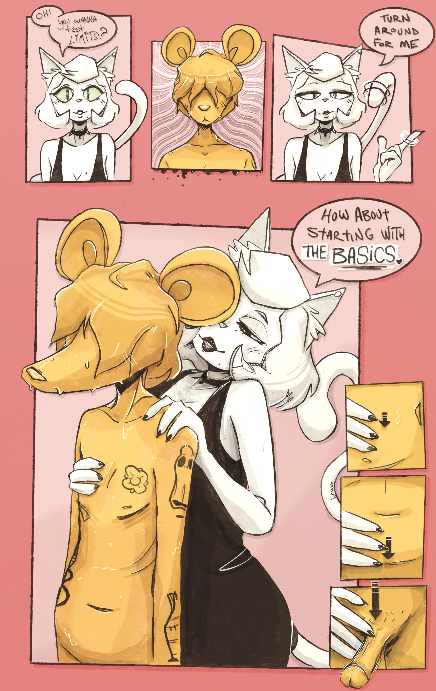 NNN page 5