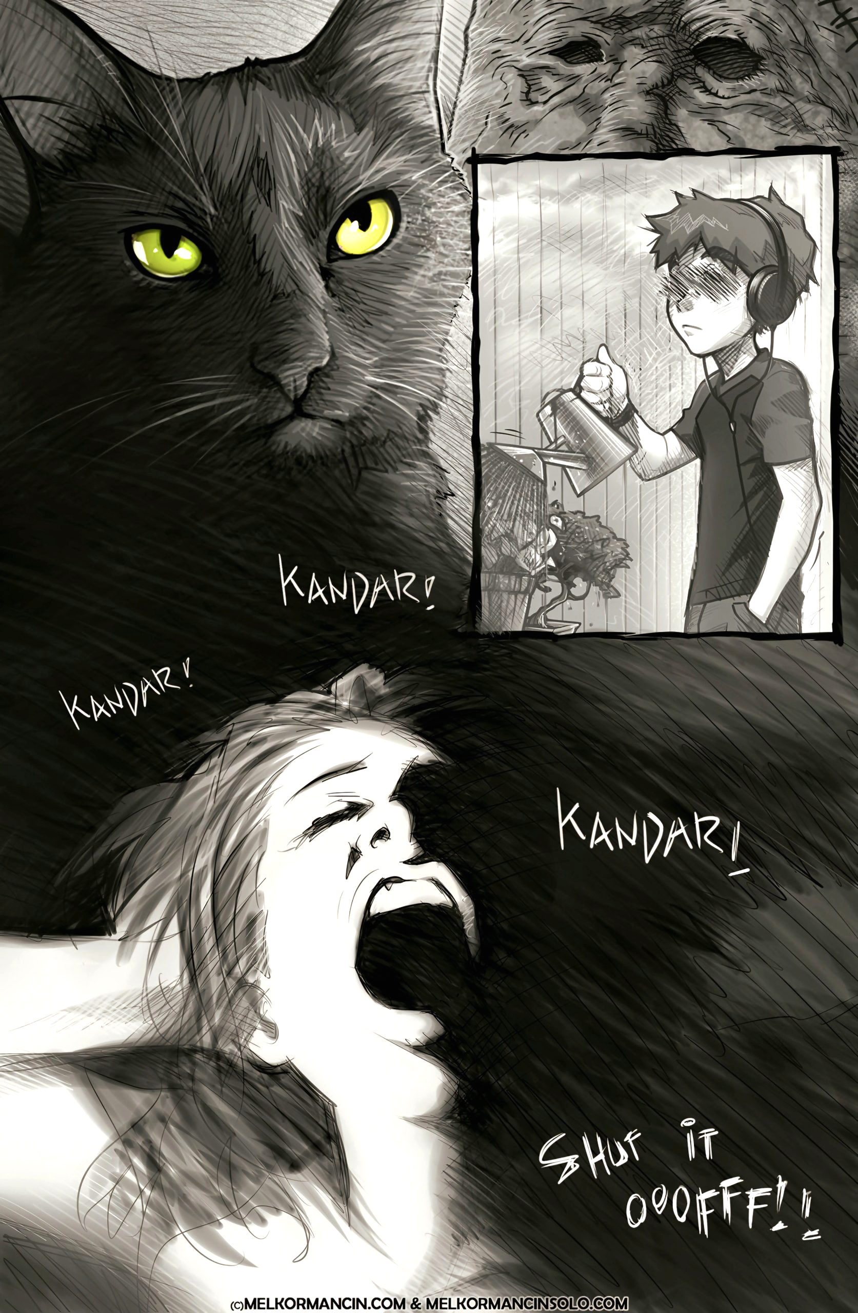 The Complete Pamela Saga page 2