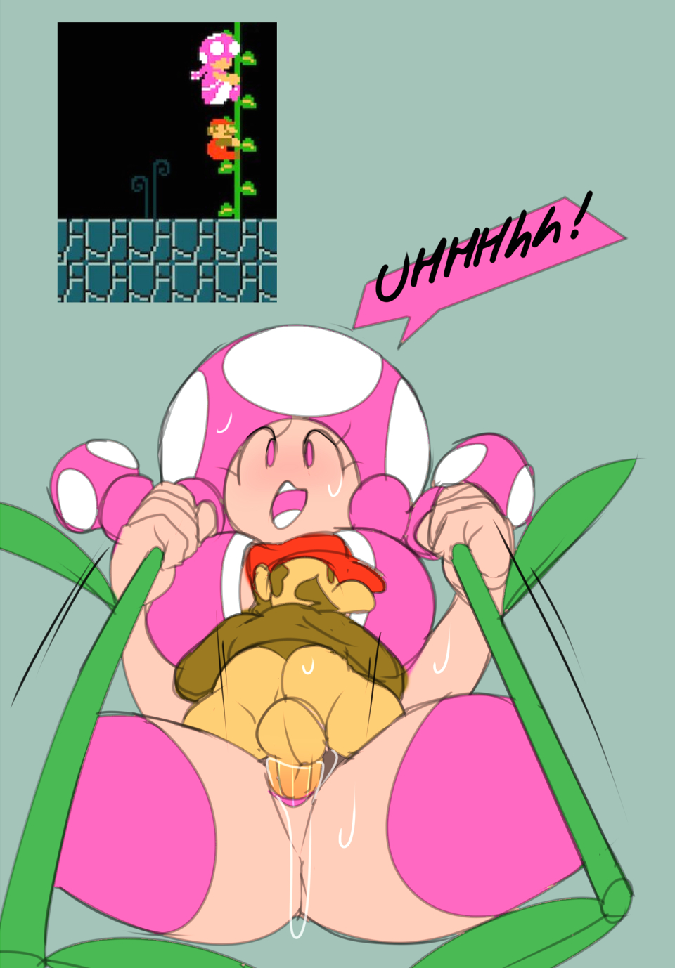 Toadette Sets page 14