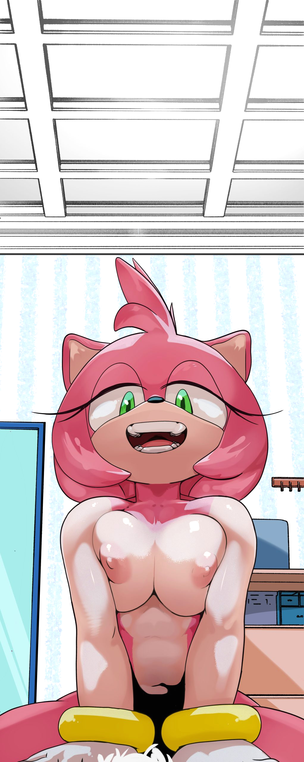 Amy Rose + Tails page 11