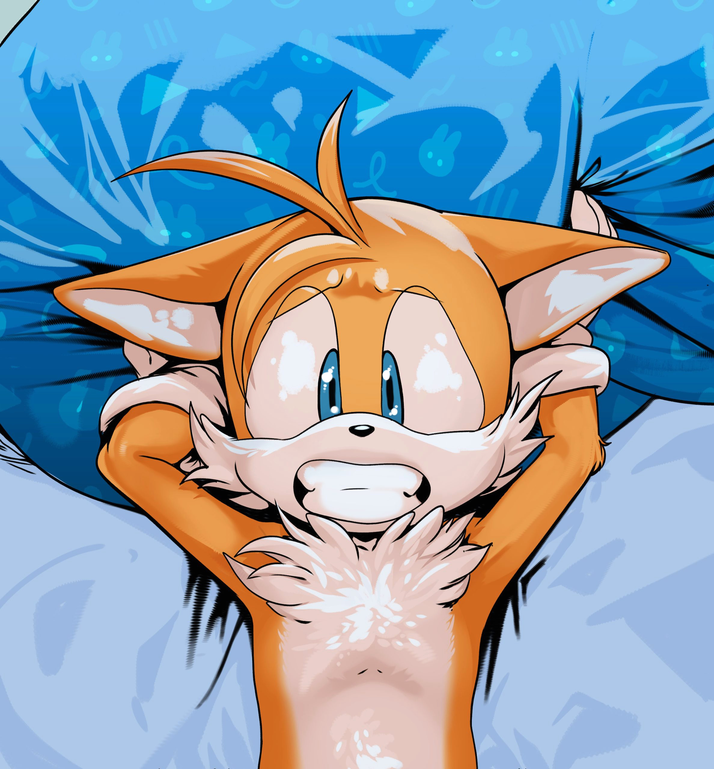 Amy Rose + Tails page 12
