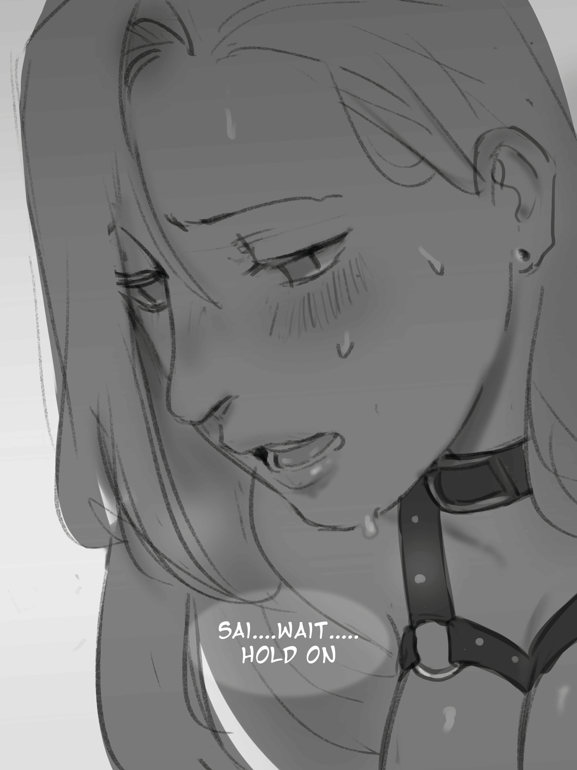 Training SaiIno page 3